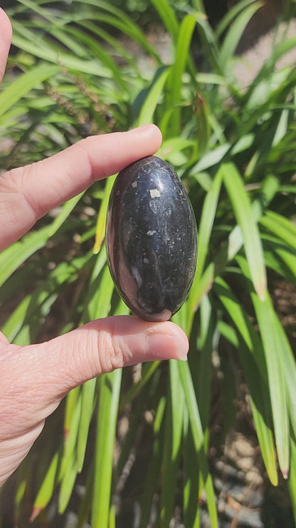 Black Onyx w/ Pyrite Shiva Lingams