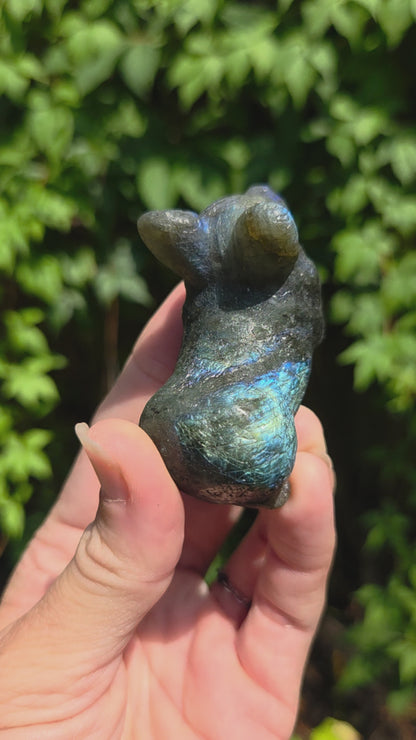 Corgi Carvings (Labradorite or Orange Calcite)