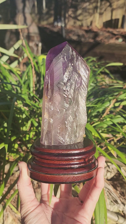 Dragon Tooth Amethyst in Custom Wood Base Bahia Amethyst
