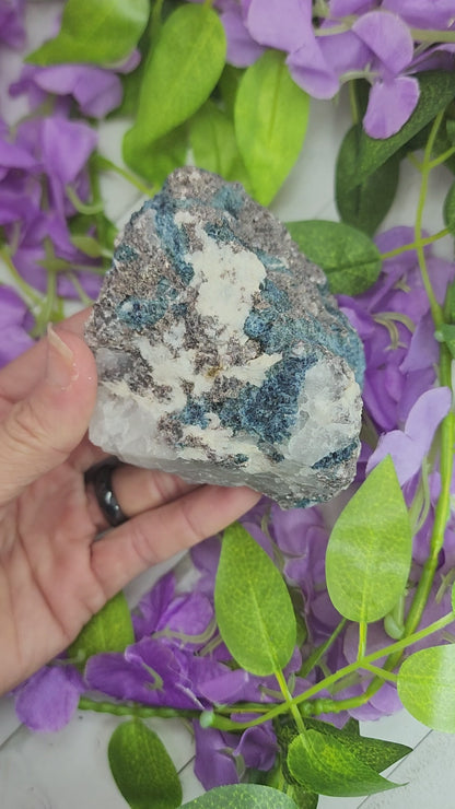 Rare Blue Tourmaline (Indicolite) and Lepidolite in Quartz Specimens