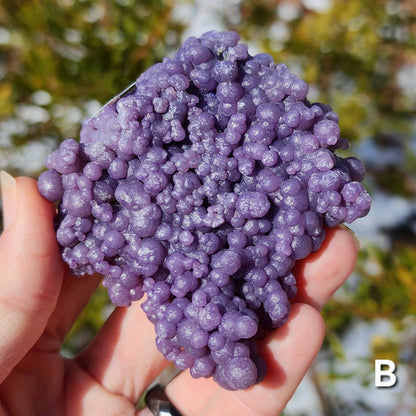 Grape Agate Specimens