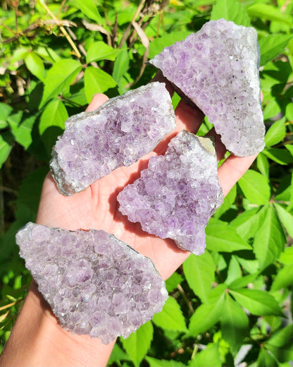 Amethyst Cluster