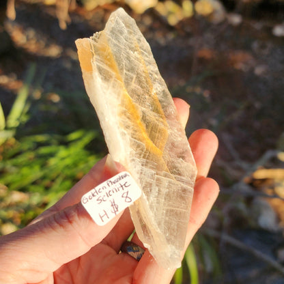 Golden Phantom Selenite