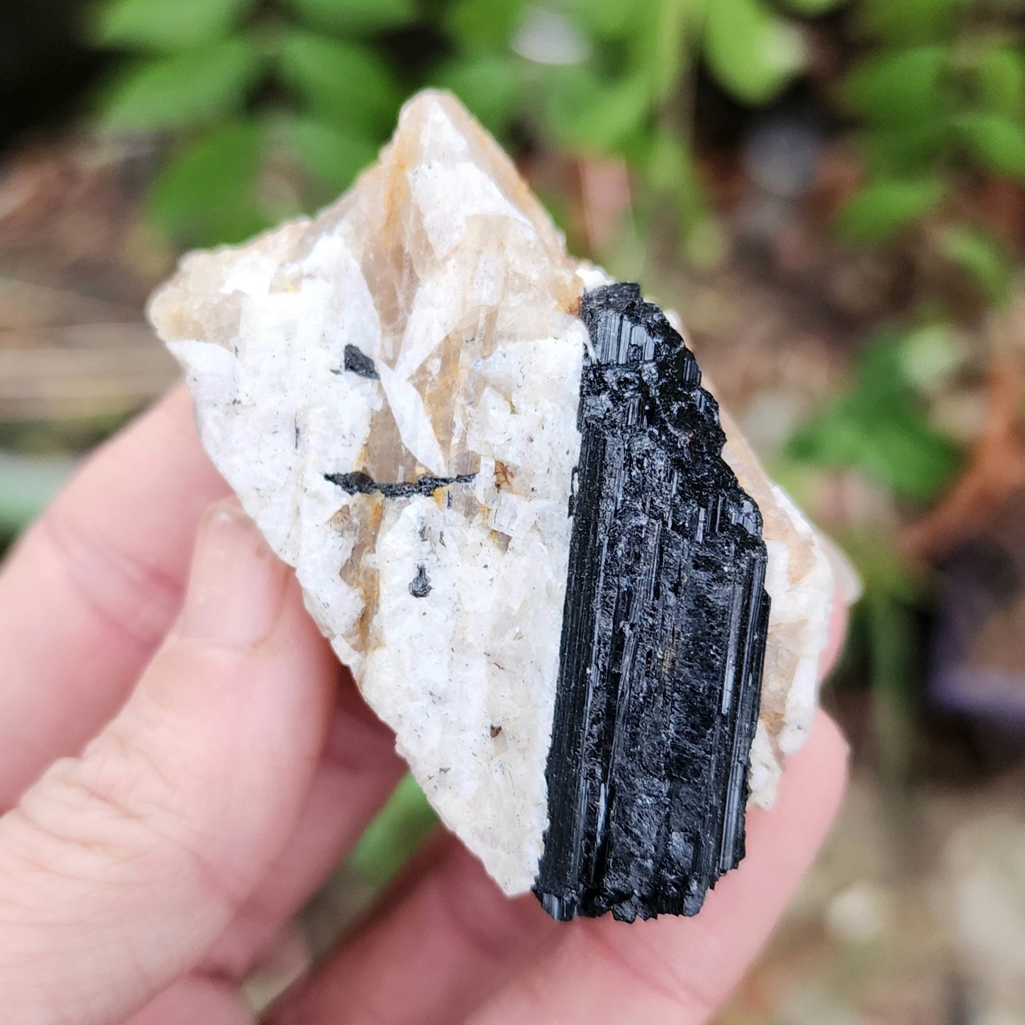 Black Tourmaline on Matrix