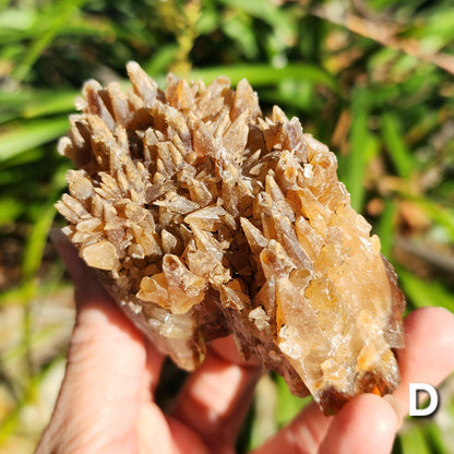 Amber Calcite Specimens (Root Beer Calcite)