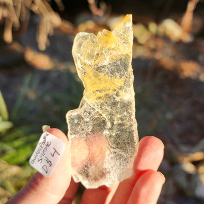 Golden Phantom Selenite