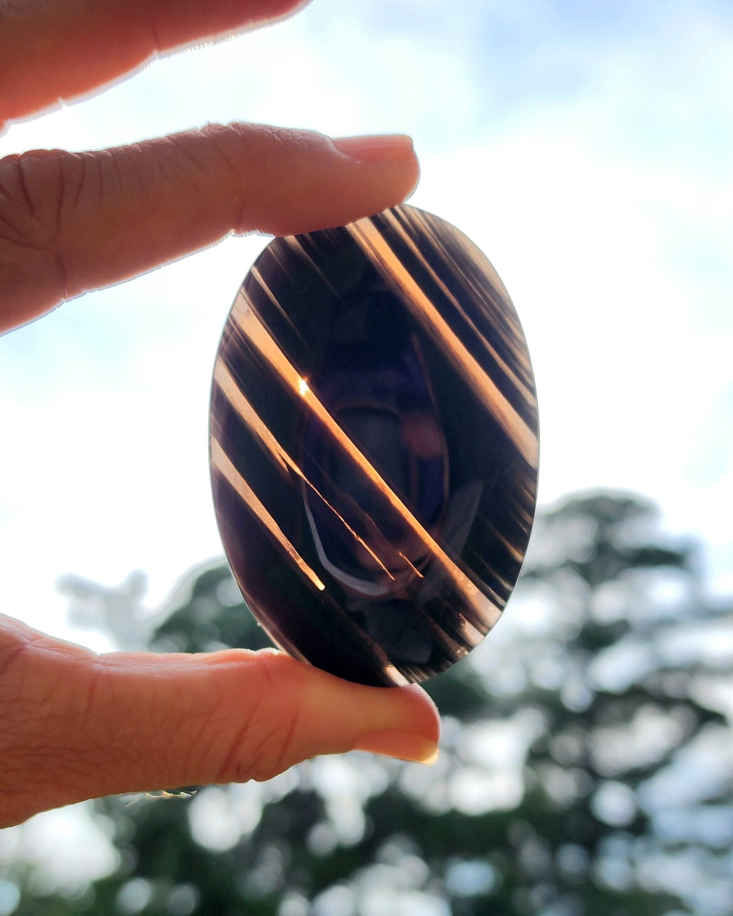 Midnight Lace Obsidian Palm Stone