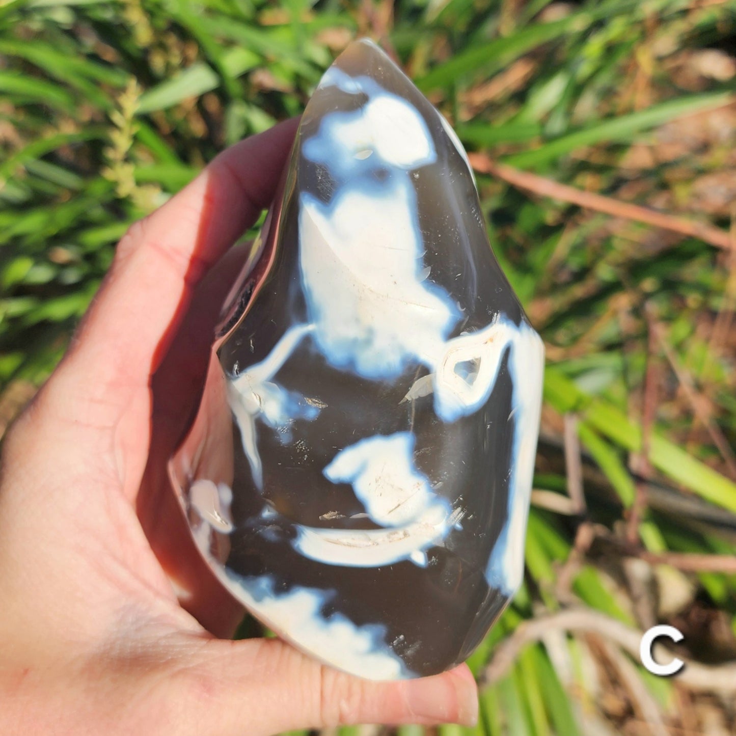 Orca Agate Flames