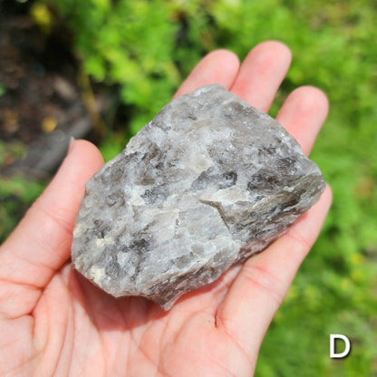 Rough Raw South Carolina Smoky Quartz (Self Collected)