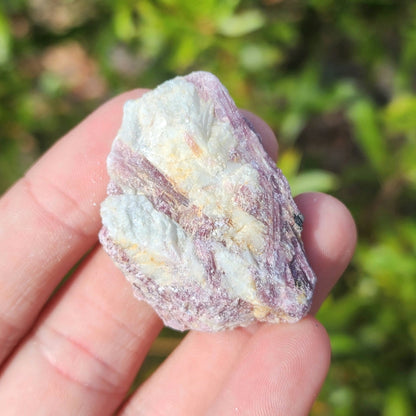 Raw Pink Tourmaline in Quartz