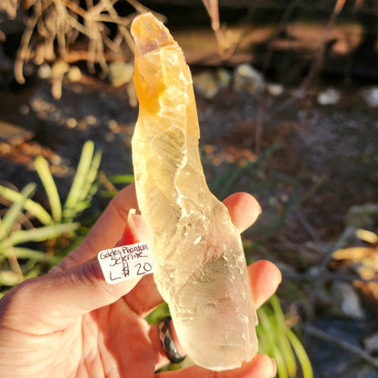 Golden Phantom Selenite