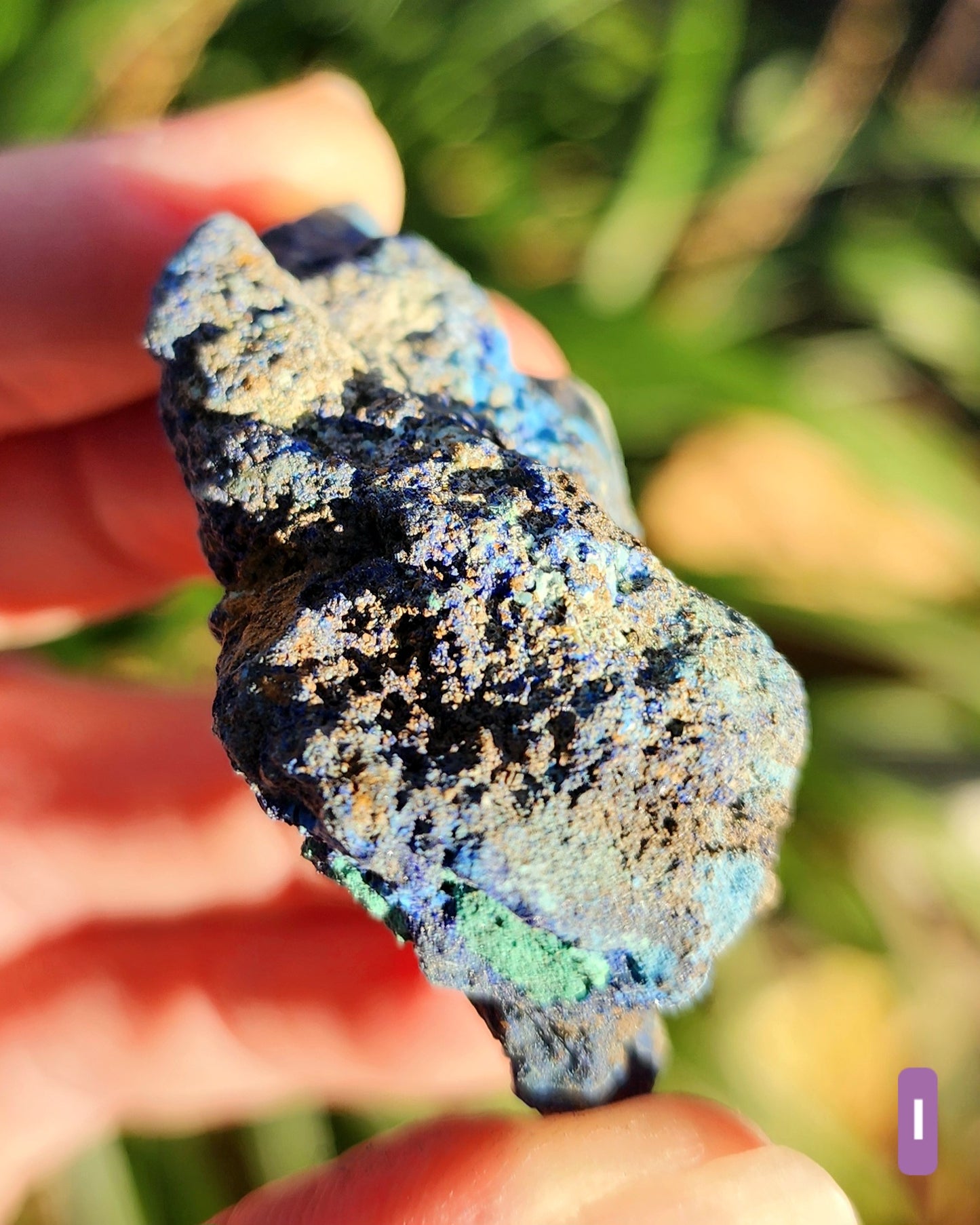 Azurite in Chrysocolla Specimens