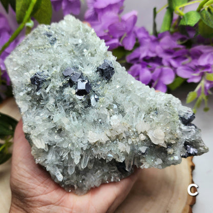 Needle Quartz Clusters