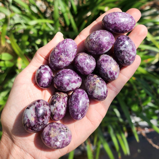 Lepidolite Purple Mica Tumble