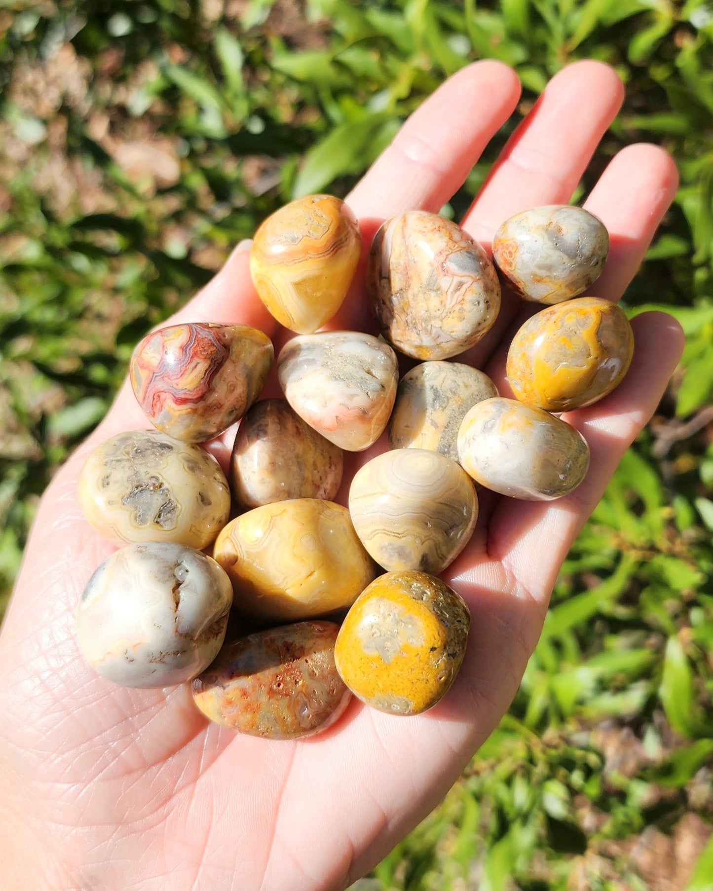 Crazy Lace Agate Tumble