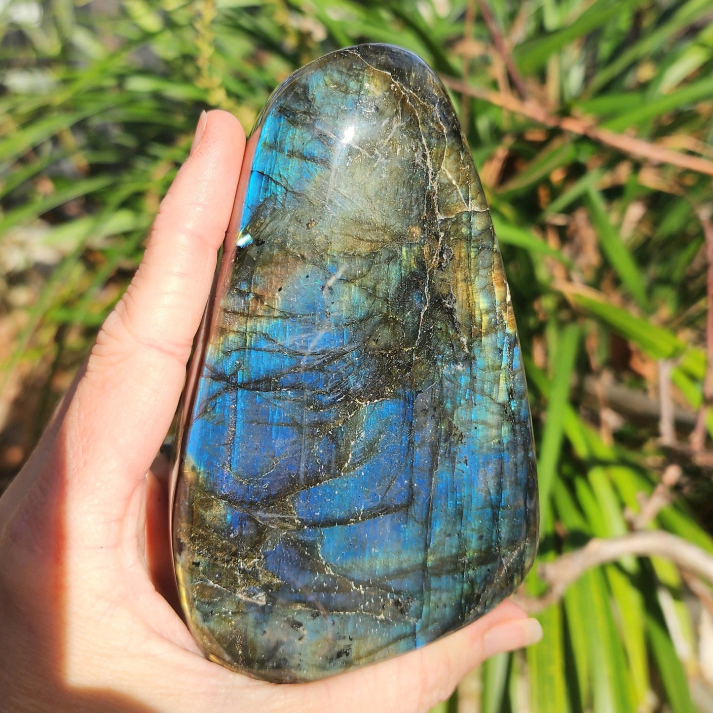 Labradorite Freeform