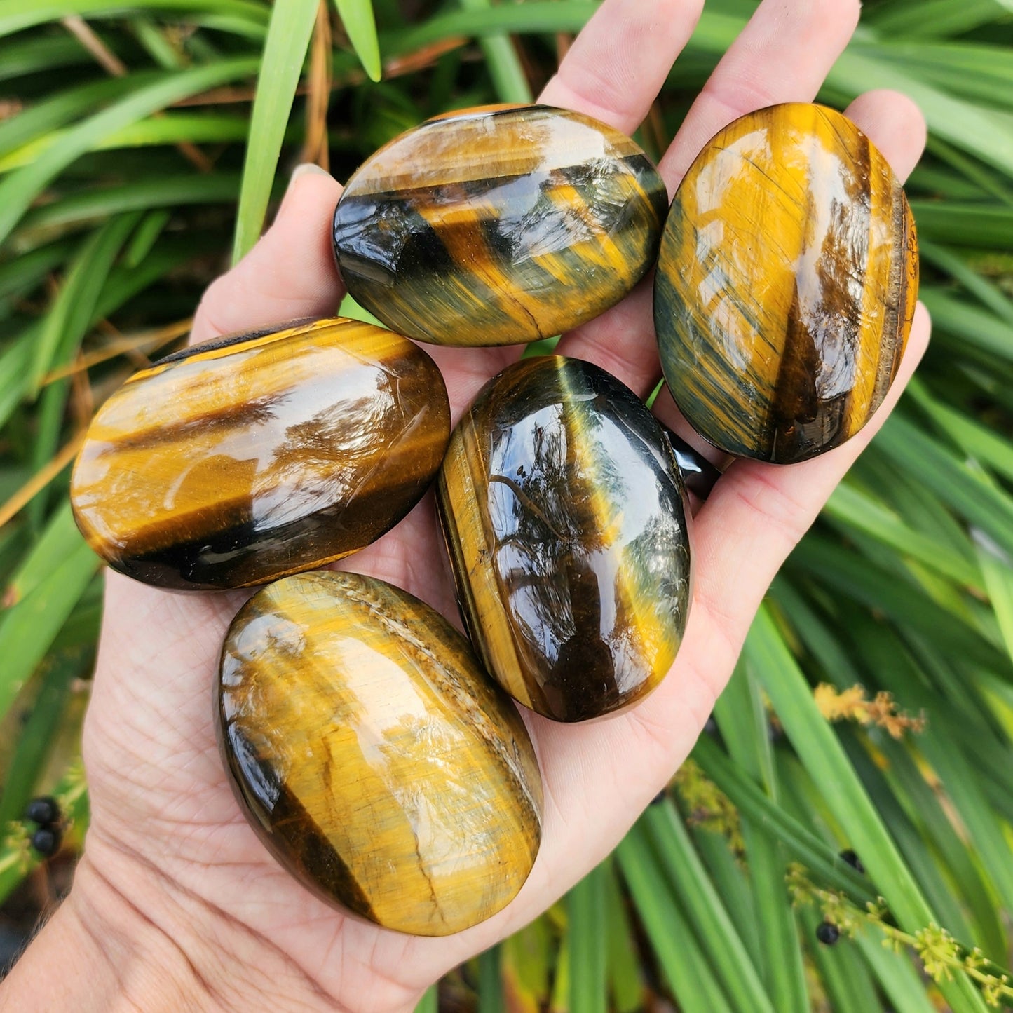 Tiger Eye Palm Stone