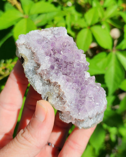 Amethyst Cluster