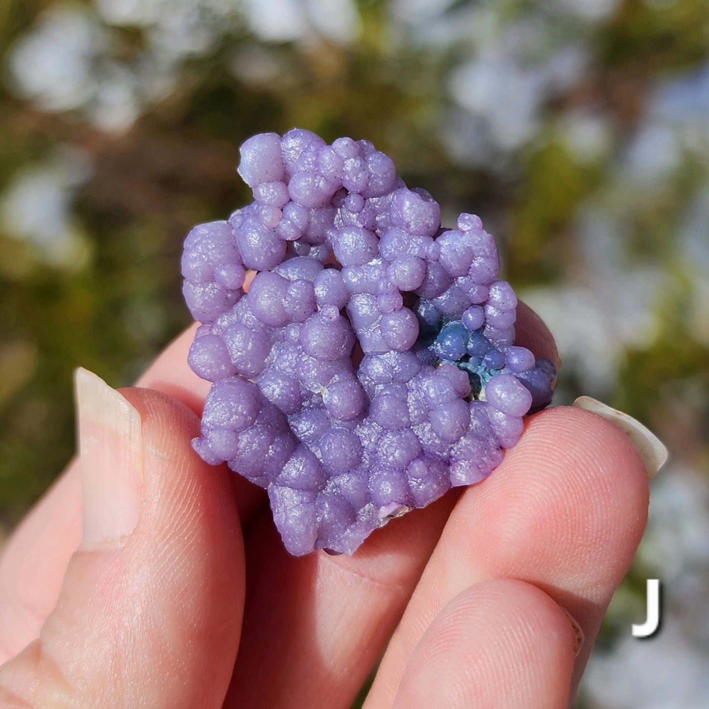 Grape Agate Specimens