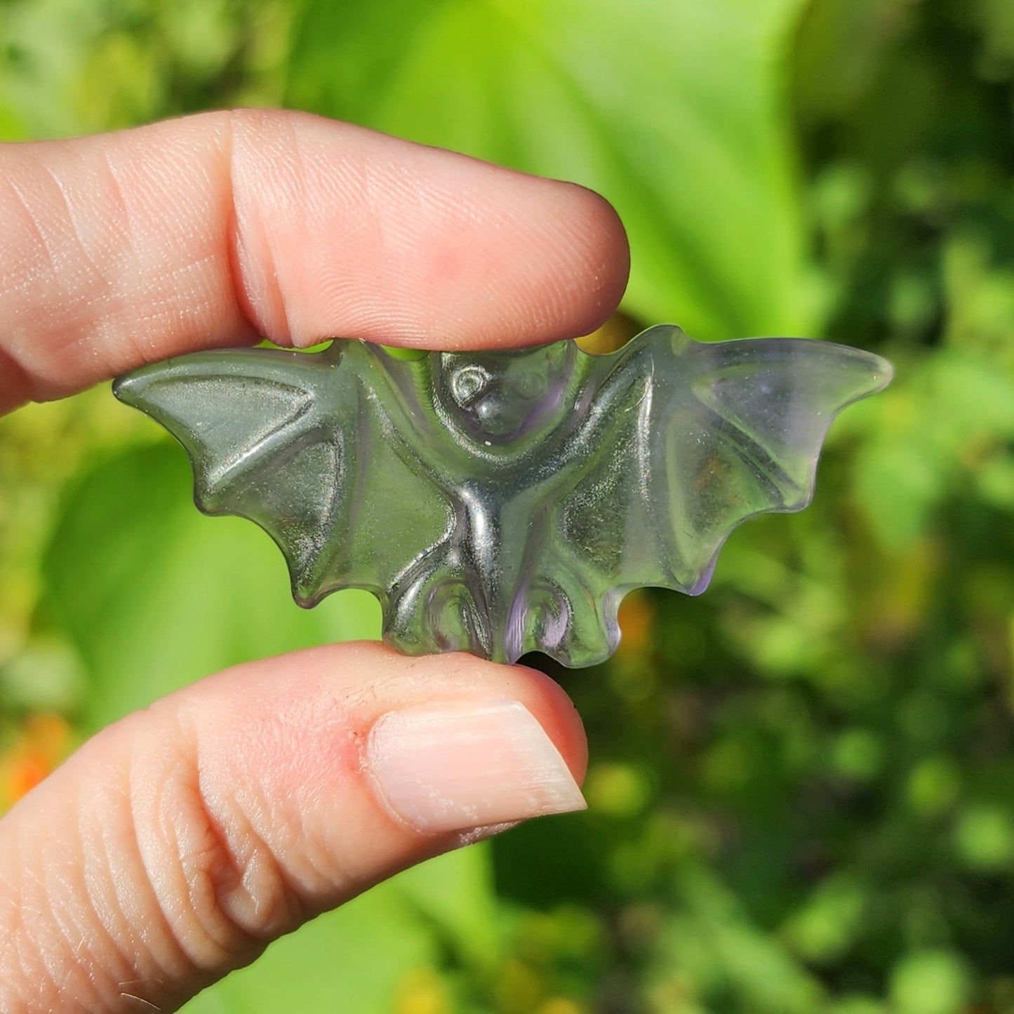 Purple Fluorite Bat