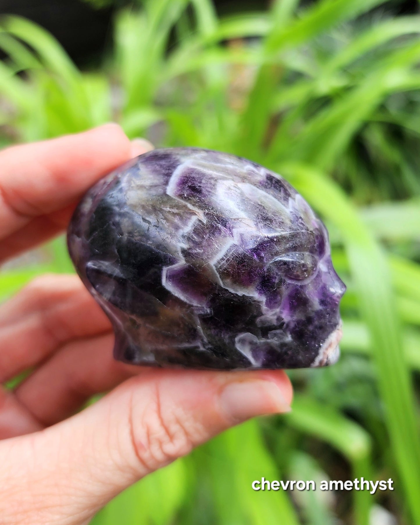 Alien Skull Carvings