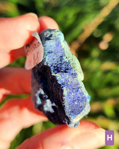 Azurite in Chrysocolla Specimens