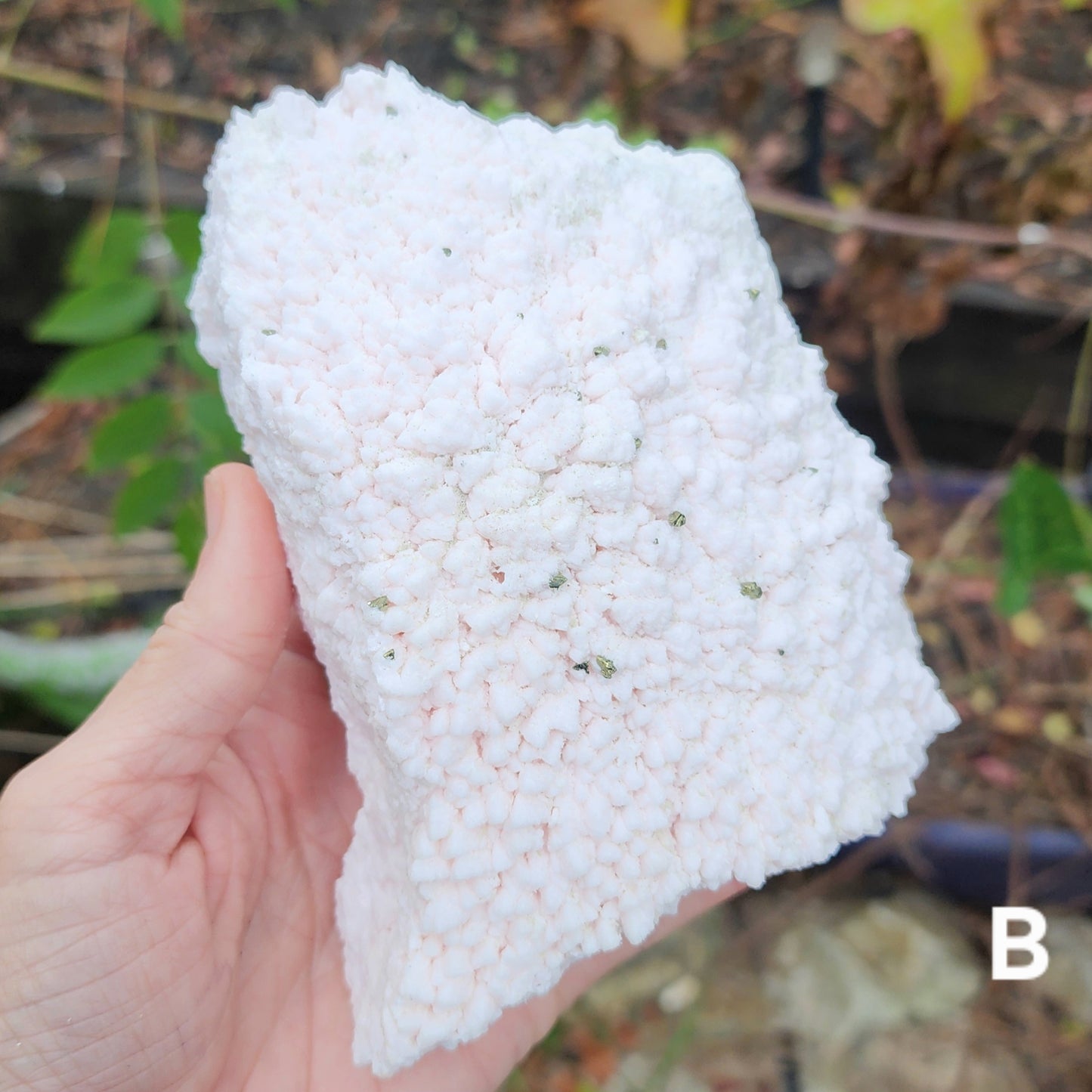 Rare Crystallized Pink Mangano Calcite Clusters