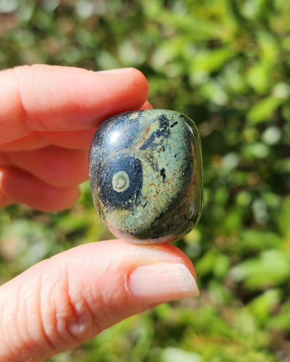 Kambaba Jasper Tumble