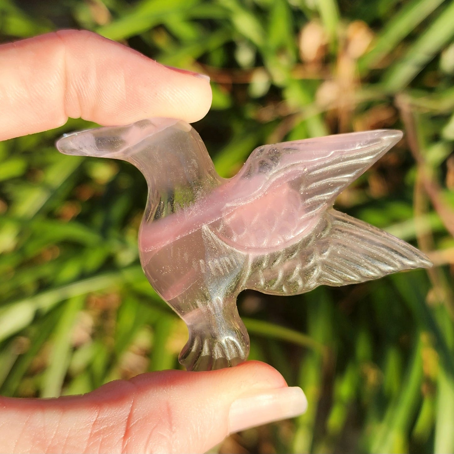 Purple Fluorite Hummingbird