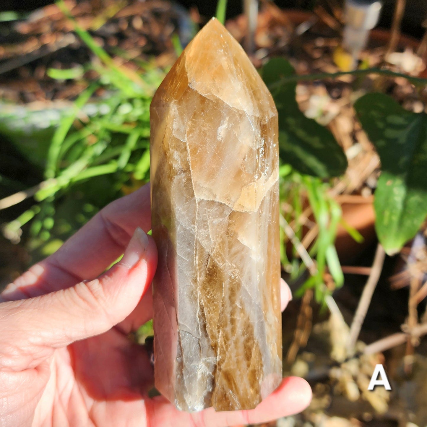 Natural Brazilian Citrine Towers