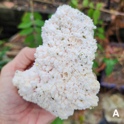 Rare Crystallized Pink Mangano Calcite Clusters