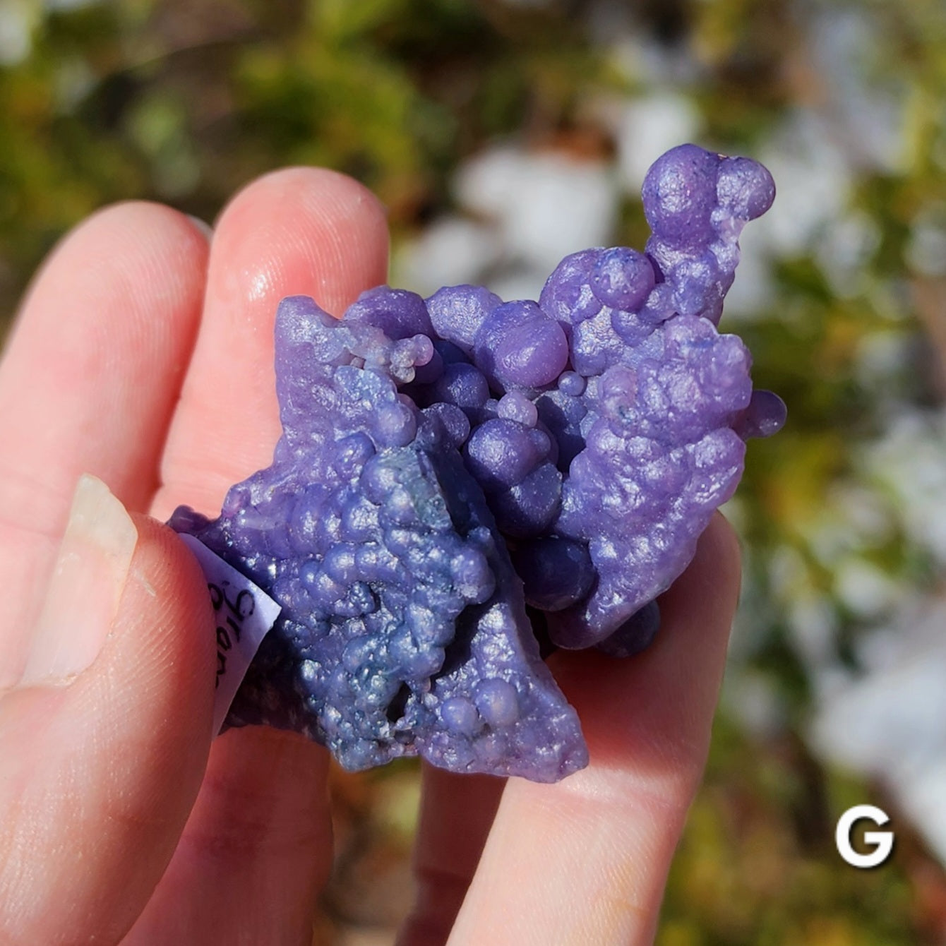 Grape Agate Specimens