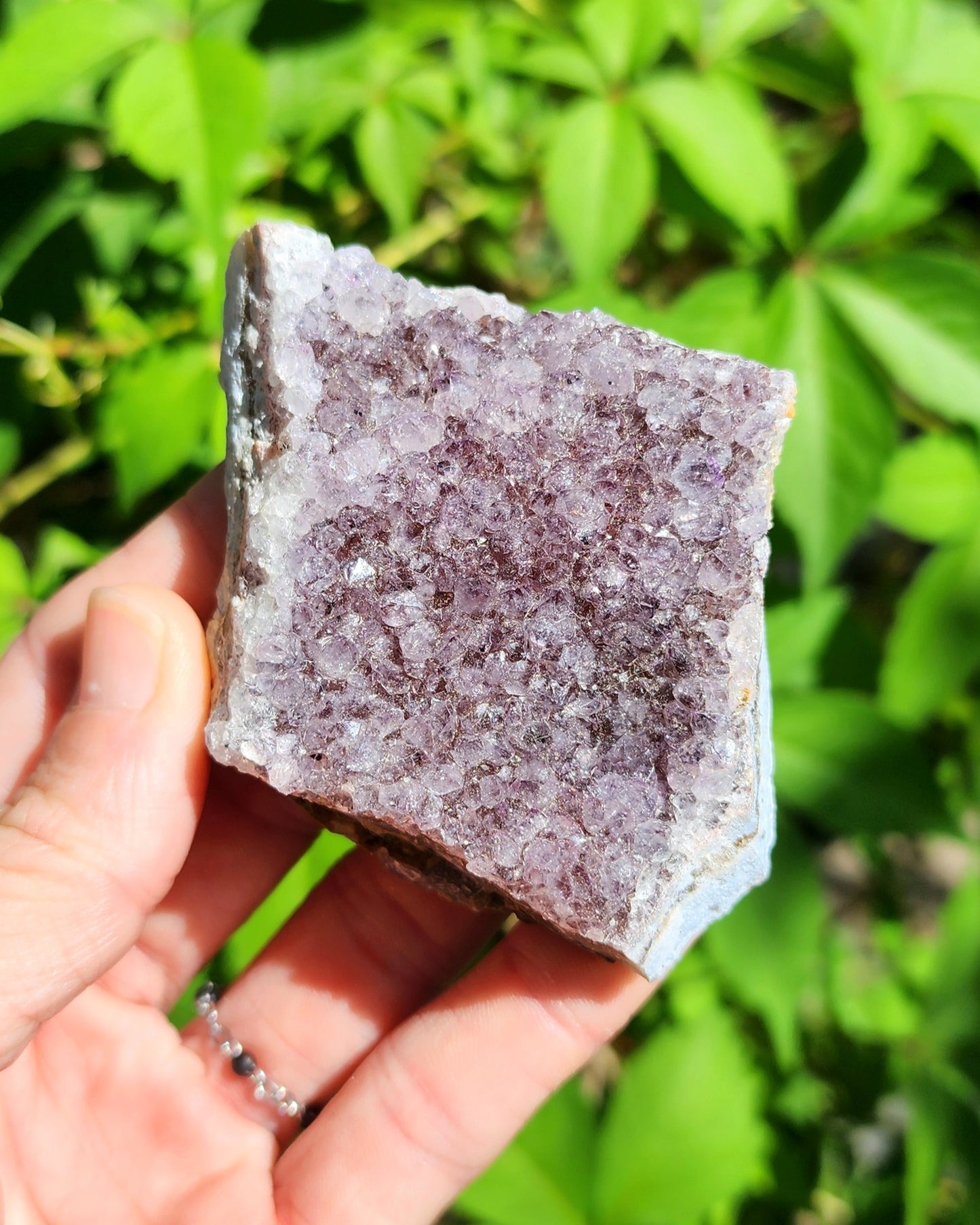 Amethyst Cluster