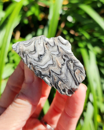 Rough Raw Zebra Calcite