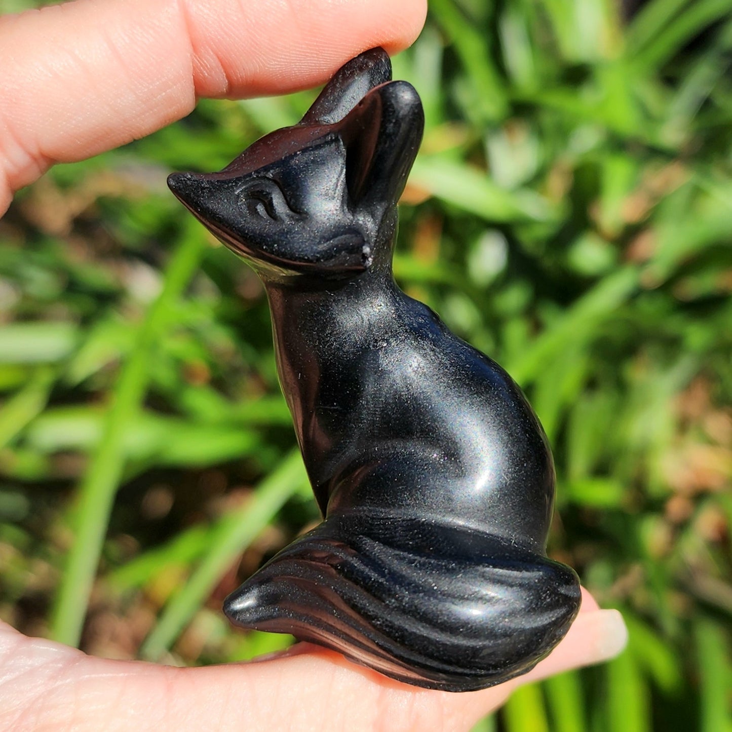 Black Obsidian Fox