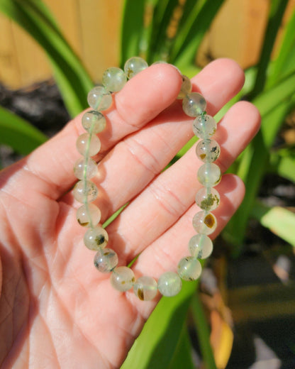 Prehnite with Epidote Stretchy Bracelet