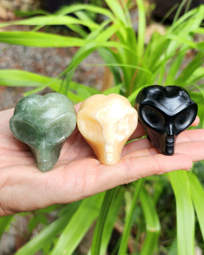 Alien Skull Carvings