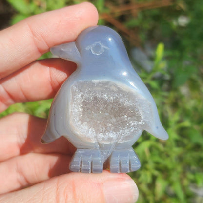 Druzy Agate Penguin