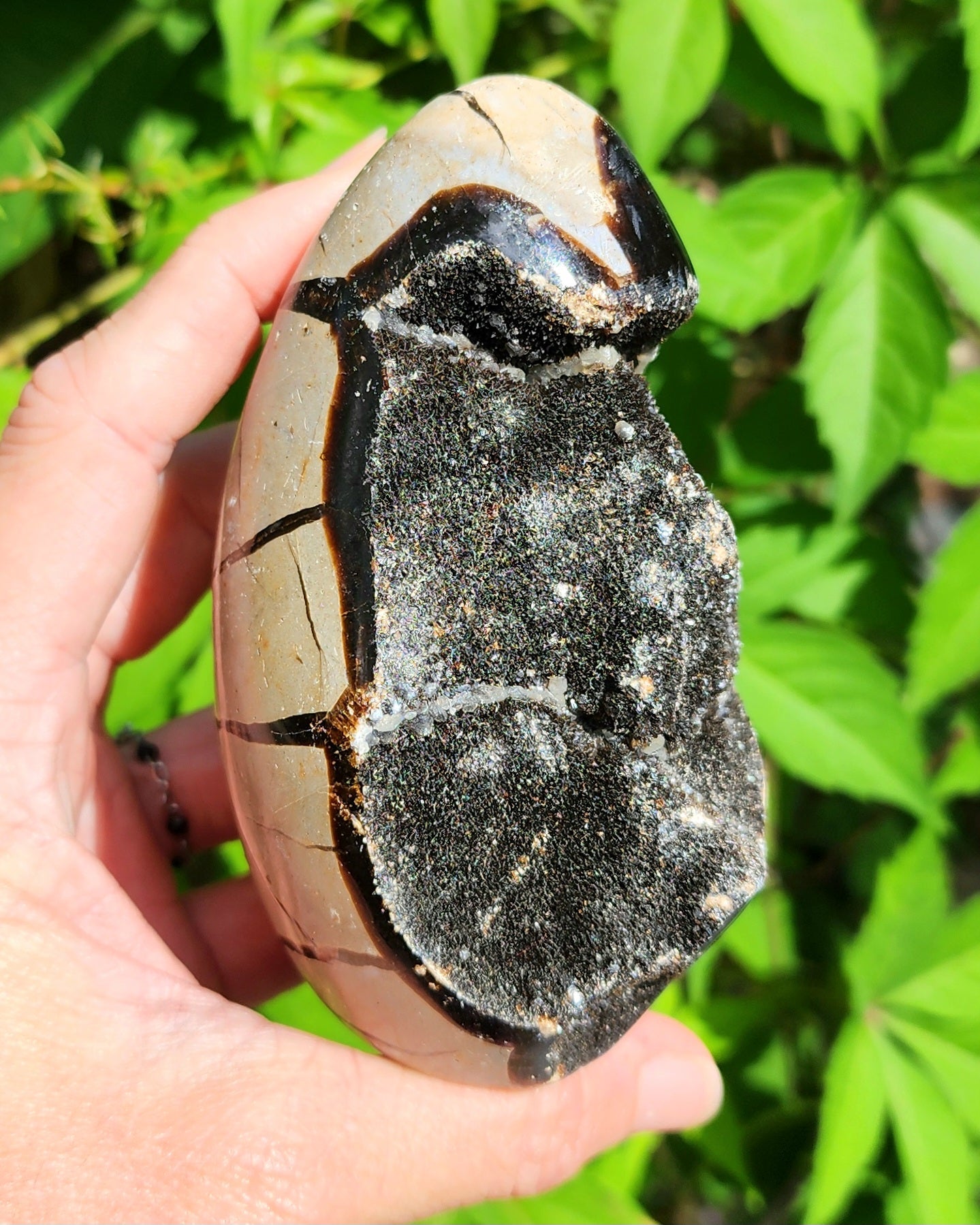 Druzy Septarian Self Standing Egg