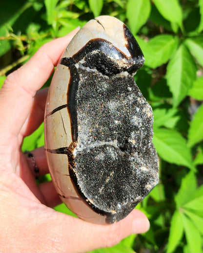 Druzy Septarian Self Standing Egg