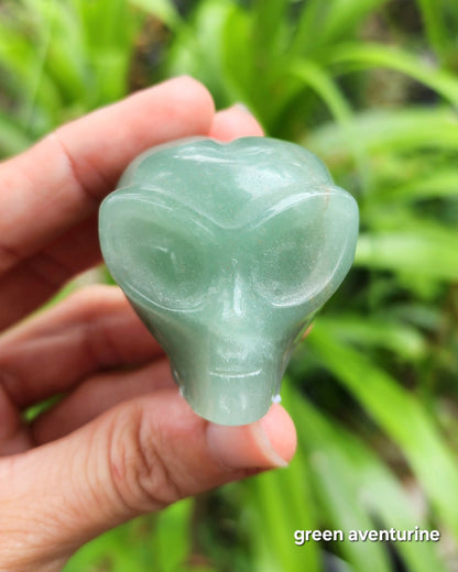 Alien Skull Carvings