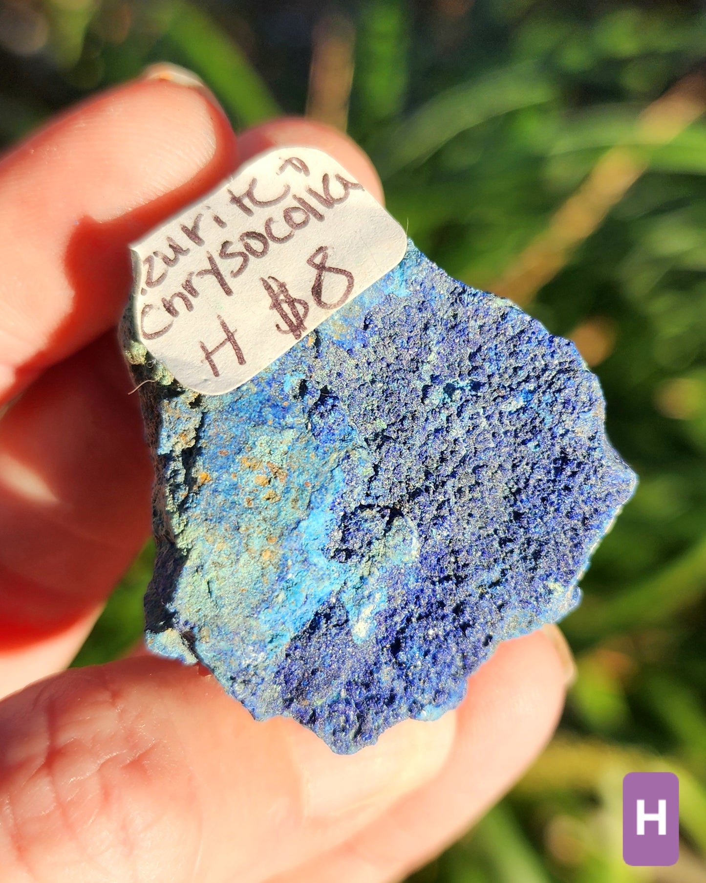 Azurite in Chrysocolla Specimens