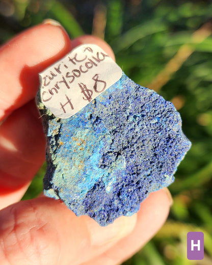 Azurite in Chrysocolla Specimens