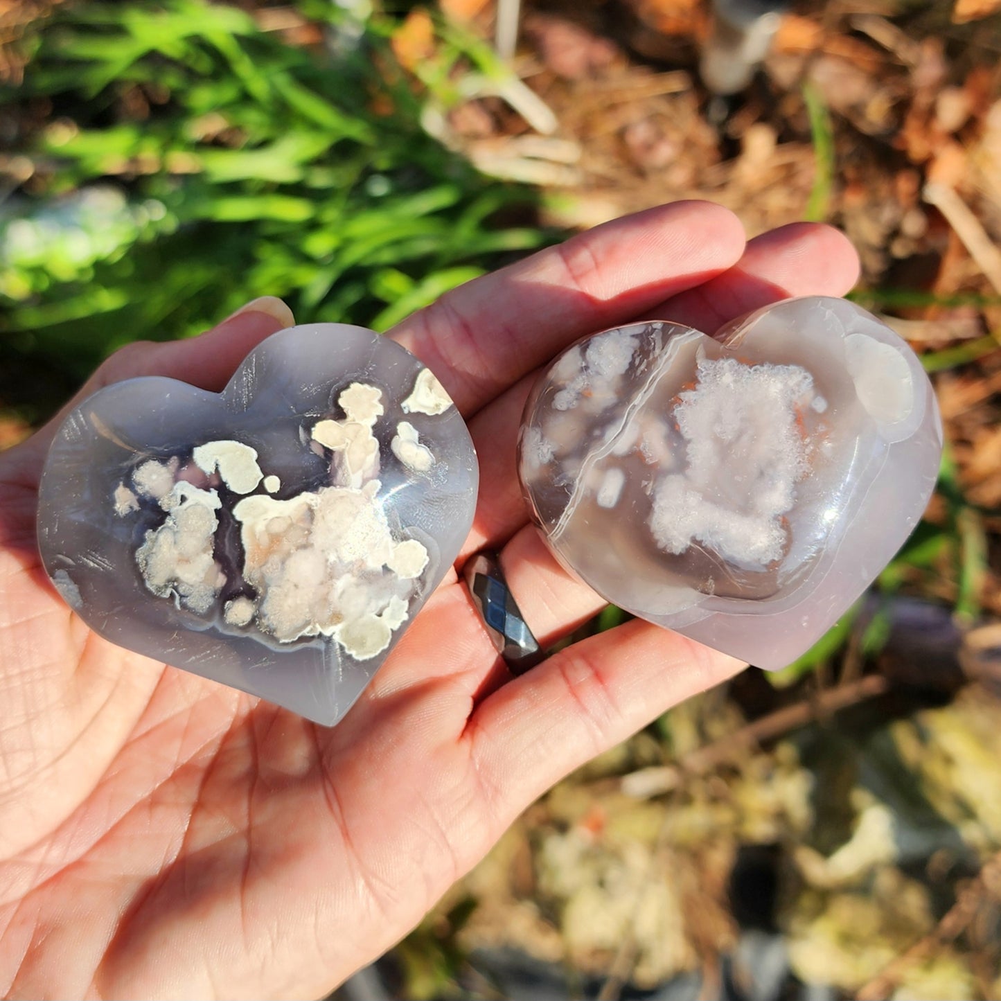 Black Flower Agate Hearts