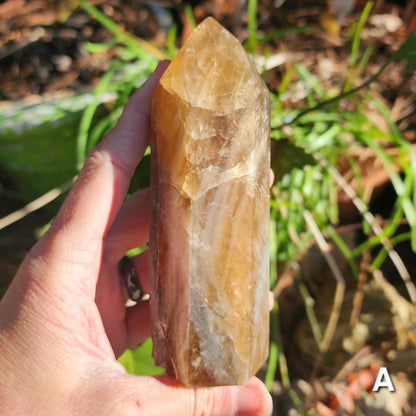 Natural Brazilian Citrine Towers