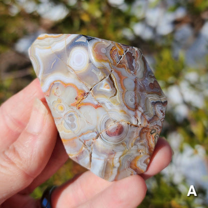 Moroccan Crazy Lace Agate Angular Freeforms