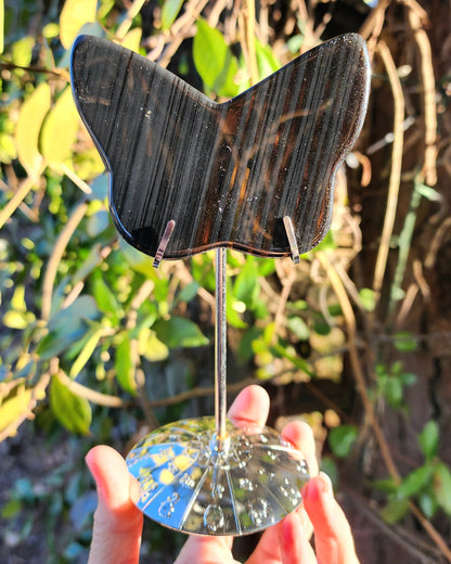 Midnight Lace Obsidian Butterfly on Stand
