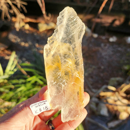 Golden Phantom Selenite