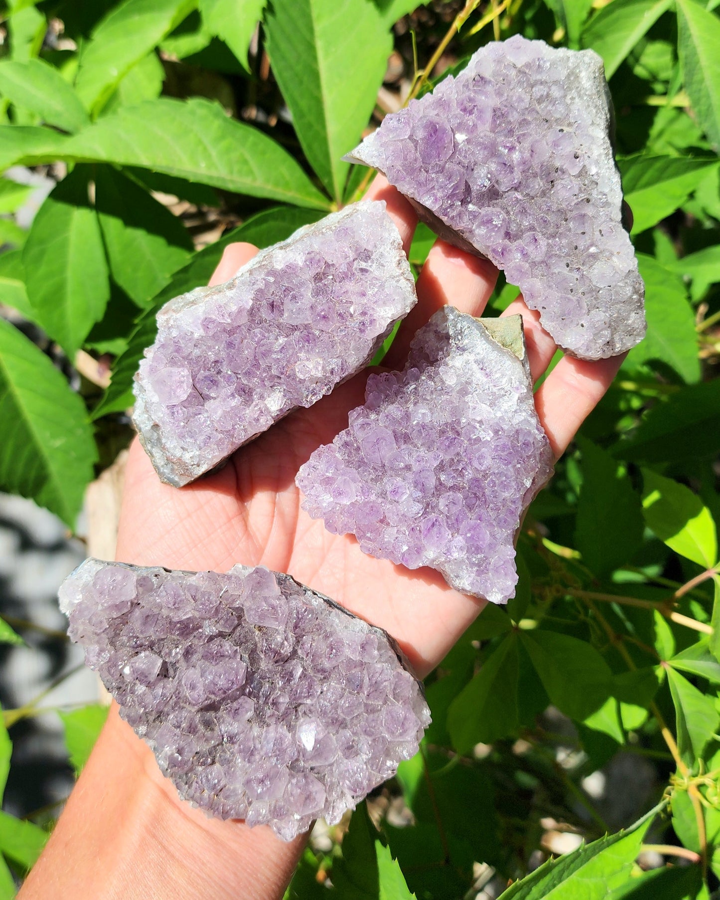 Amethyst Cluster