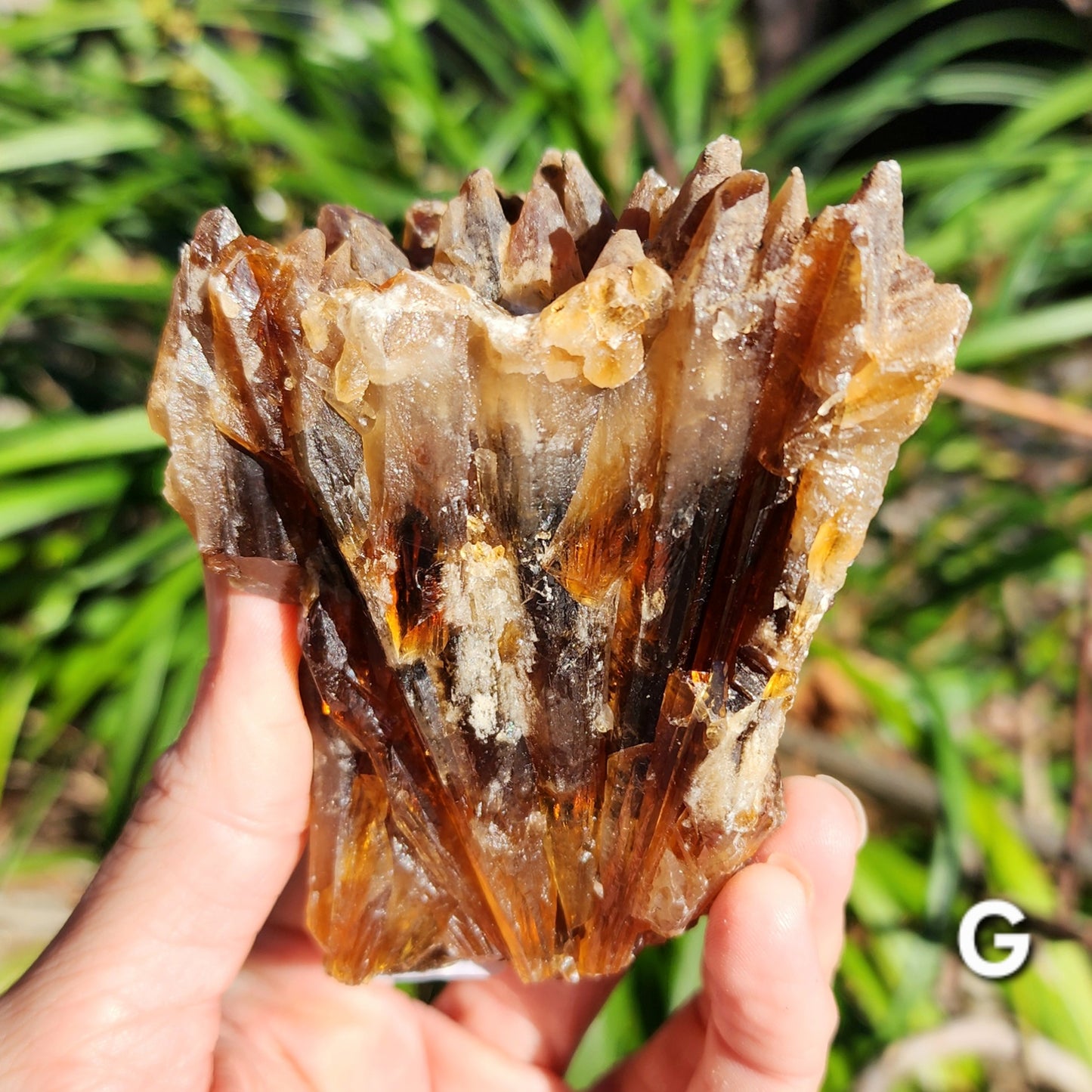 Amber Calcite Specimens (Root Beer Calcite)